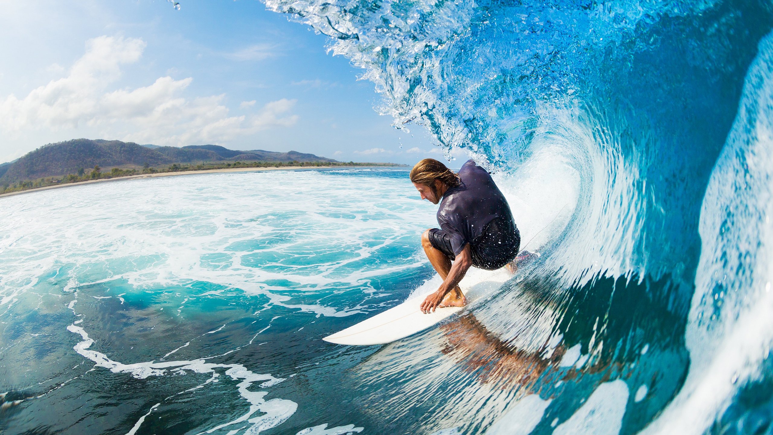 体育赛事观众规模增长